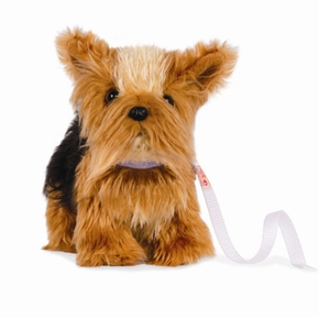 OG Yorkshire Terrier, bevgelige ben 