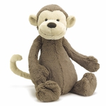 Bashful abe, Kæmpe 51 cm