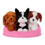 Pucci Adopter en hund, lyserd kurv