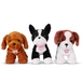Pucci Adopter en hund, lyserd kurv