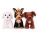 Pucci Adopter en hund, fuchsia kurv