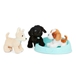Pucci Adopter en hund, bl kurv
