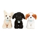 Pucci Adopter en hund, bl kurv