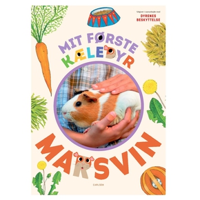 Mit frste kledyr - marsvin