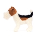 DOGS - Hector fox terrier, 23 cm