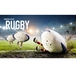 Fun, Amuseables Sports Rugby Bold, 29 cm