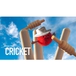 Fun, Amuseables Sports Cricket Bold, 10 cm
