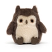 Wings - Brown Owling
