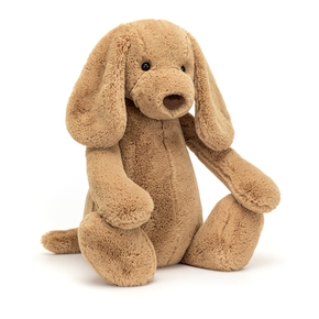 Bashful hund, Toffee virkelig stor 67 cm