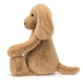 Bashful hund, Toffee virkelig stor 67 cm