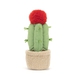 Fun, Amuseables Moon Cactus