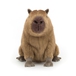 JUNGLE - Clyde Capybara